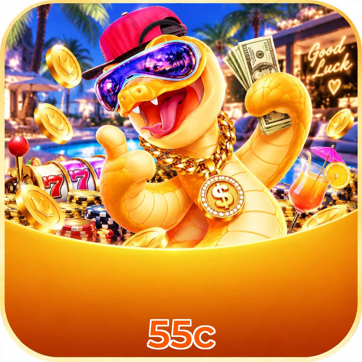 55c System Requirements