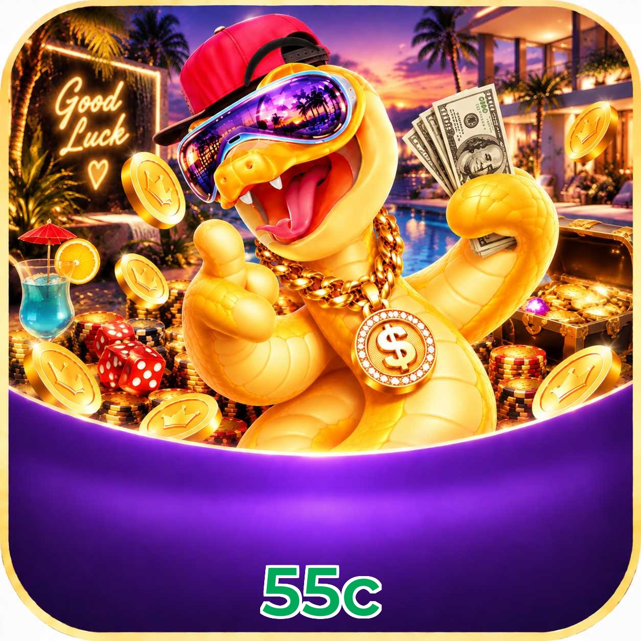 55c Plataforma FAQ
